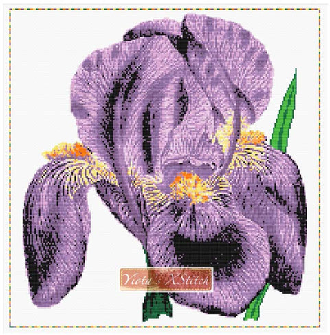Iris cross stitch kit