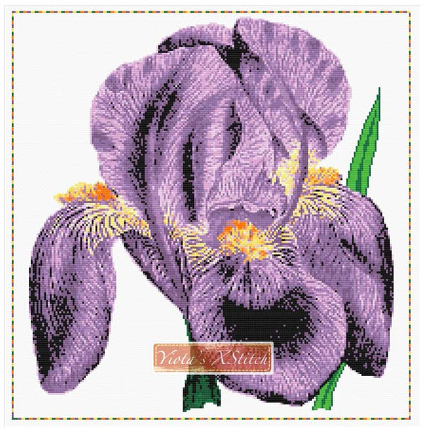 Iris cross stitch kit - 1