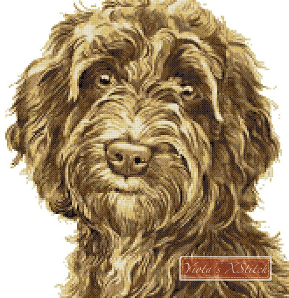 Light brown cockapoo cross stitch