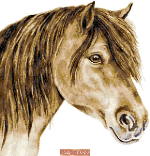 pony cross stitch kit
