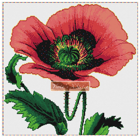 Poppy cross stitch kit