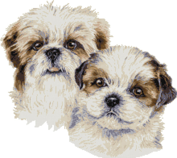 Shih Tzu puppies counted cross stitch kit - 1