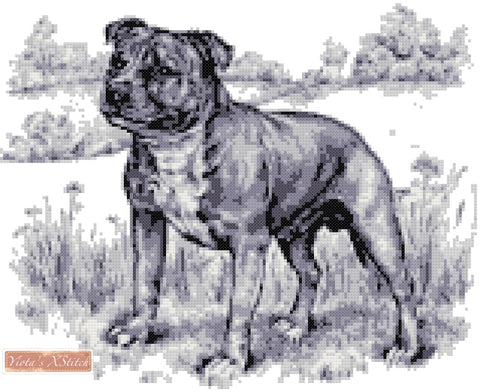 Staffordshire bull terrier in black and white counted cross stitch kit