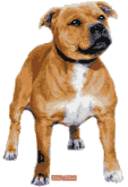 Red Staffordshire Bull Terrier (v2) cross stitch kit - 1