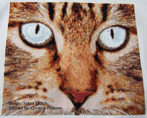 Cat eyes tabby cross stitch kit - 1