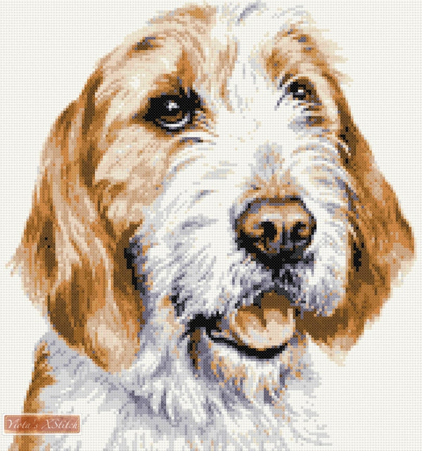 Welsh Foxhound counted cross stitch kit - 1