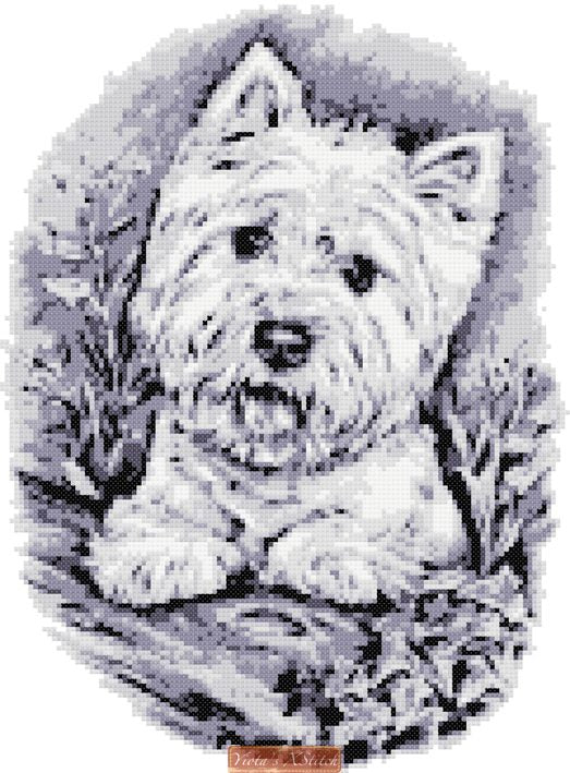 West Highland Terrier BW (v2) cross stitch kit - 1