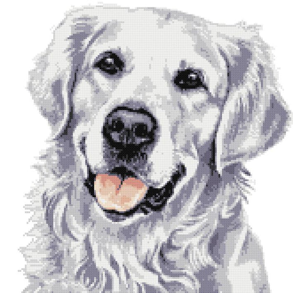 White golden retriever counted cross stitch kit - 1